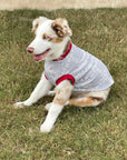 Pet Pullover PDF Sewing Pattern