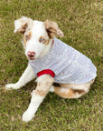Pet Pullover PDF Sewing Pattern