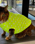 Pet Pullover PDF Sewing Pattern
