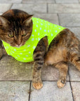 Pet Pullover PDF Sewing Pattern