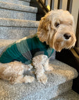 Pet Pullover PDF Sewing Pattern