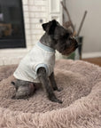 Pet Pullover PDF Sewing Pattern